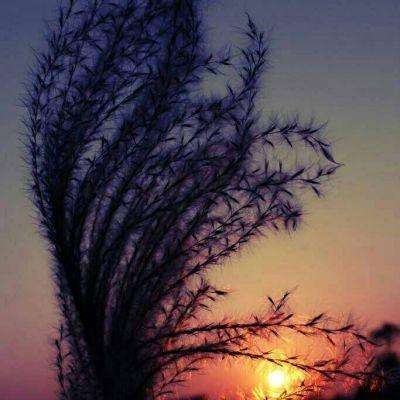 Kaiyun(云开)体育App手机app下载截图